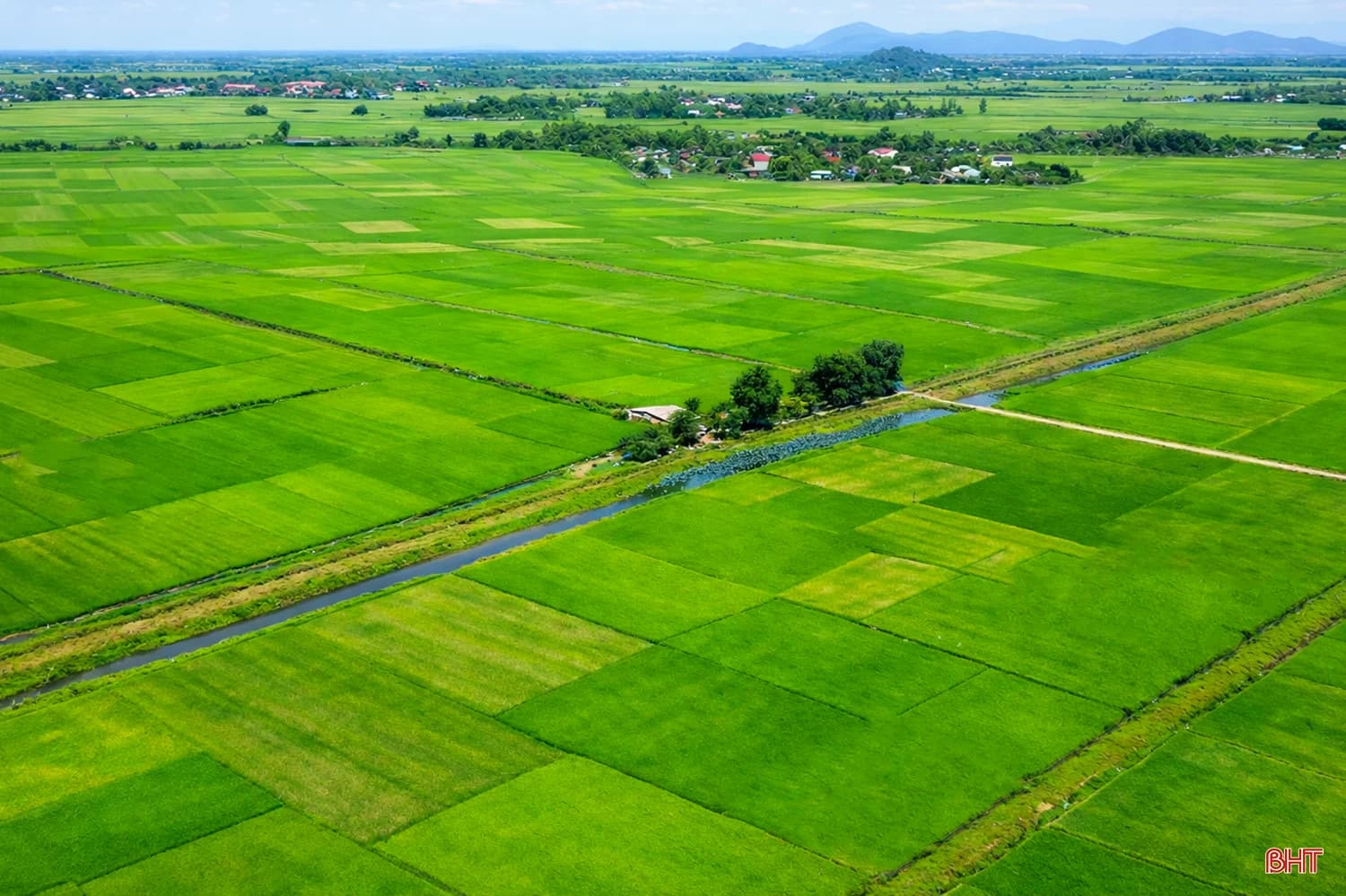 Modern high-tech agriculture field
